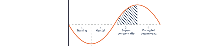 Read more about the article Supercompensatie